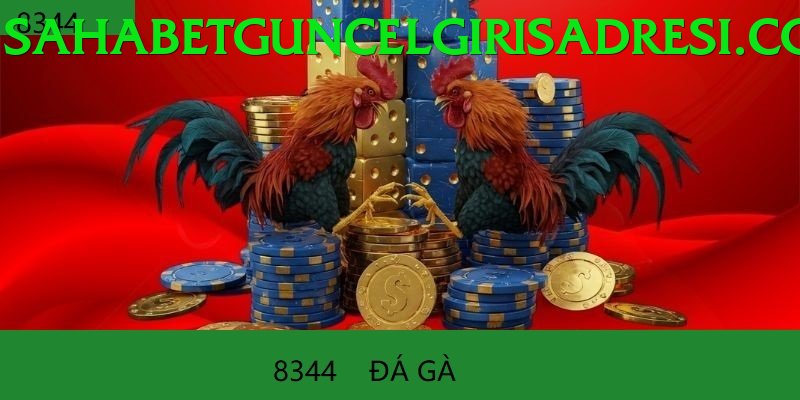 Đá Gà Trực Tiếp - okvnd